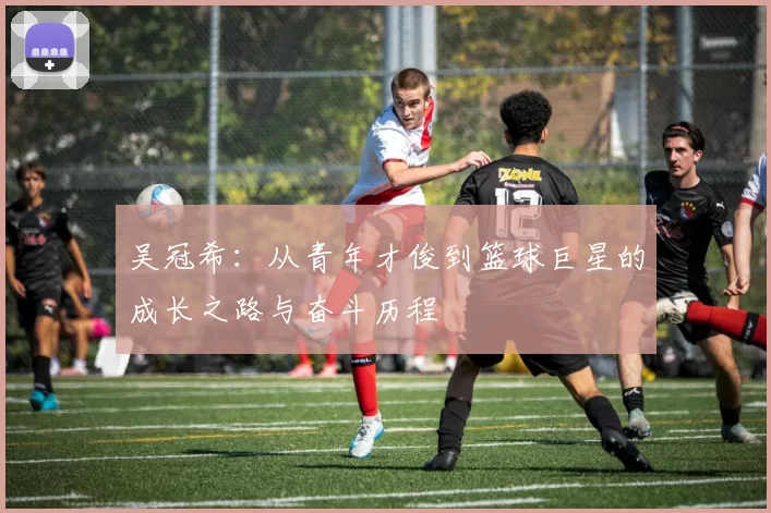 吴冠希：从青年才俊到篮球巨星的成长之路与奋斗历程